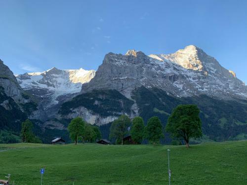 Eiger, Jungfrau, Luxury Garden Apartment