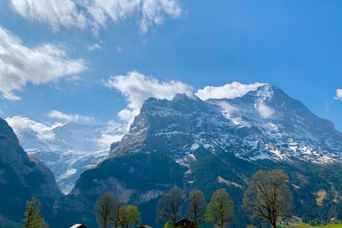 Eiger, Jungfrau, Luxury Garden Apartment