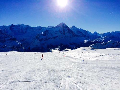 Apartamento Luxury, New - Amazing Views Grindelwald Eiger Jungfrau M�nch