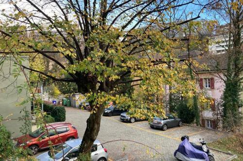 Apartamento Parking & Appartement 2 Pi�ces Sans Traffic