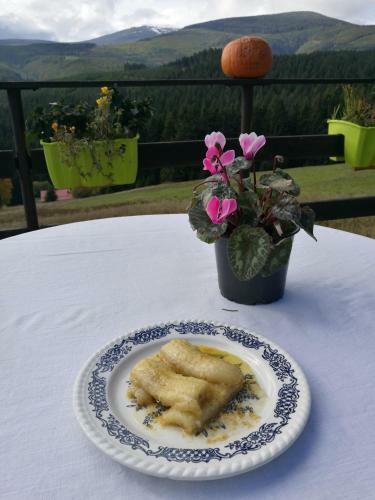 Bed & Breakfast Jamaican By Snezka