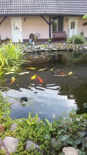 Apartamento Storchennest An Der Spree In Radinkendorf