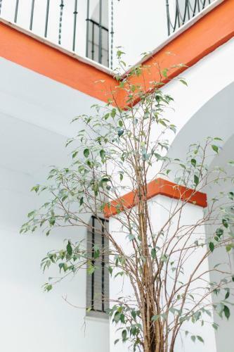 Apartamento One And Lux- Lagar