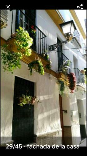 Apartamento Oasi Macarena