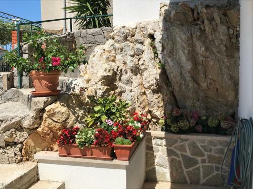Apartments Tonkita With Jacuzzi