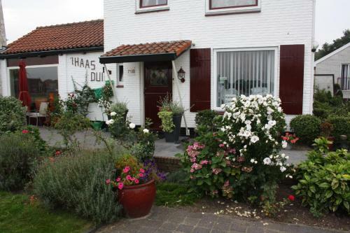 Bed & Breakfast Villa 't Haasduin
