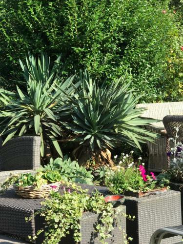 Bed & Breakfast Villa 't Haasduin