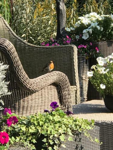 Bed & Breakfast Villa 't Haasduin