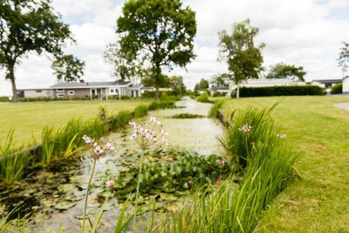 Topparken ? Park Westerkogge