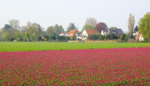 Bed & Breakfast Bij Janzen