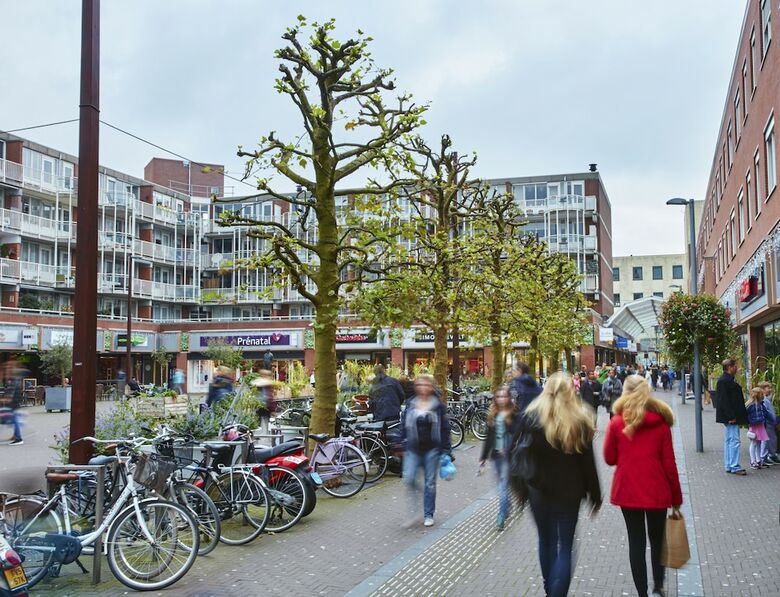 Hotel Holiday Inn Express Amsterdam - Schiphol