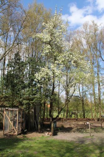 Apartamento B&B In De Backerije