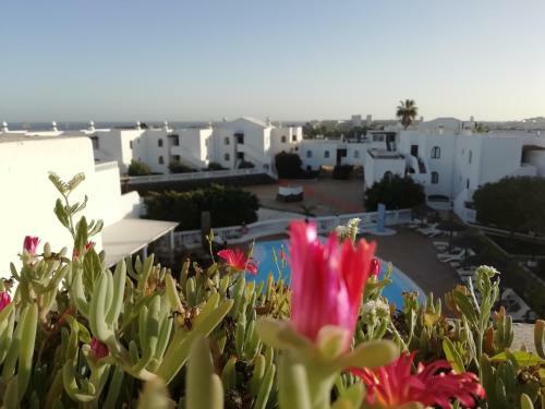 Apartamento Wonderful Terrace Great Views