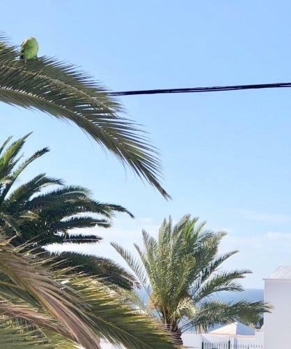 Apartamento Apt Barlovento. Near The Beach