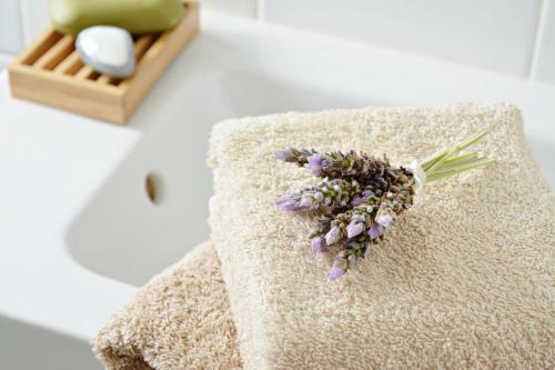 Apartamento Casa Mantra Nidhan