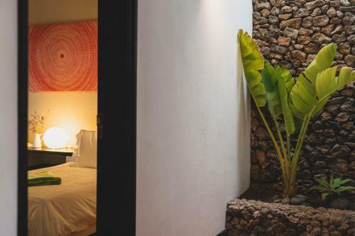 Hostal Finca Malvasia Vineyard