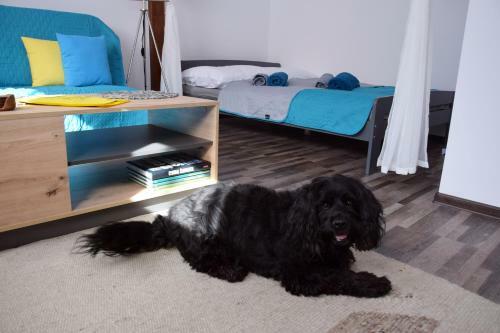 Apartament G�rnicza W Kowarach