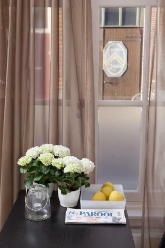 Bed & Breakfast Darley's
