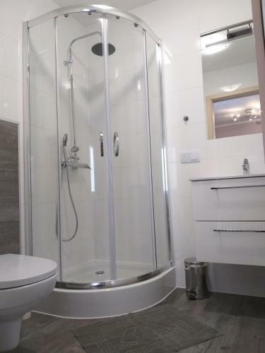 Apartamento Domek Pod ?wierkami