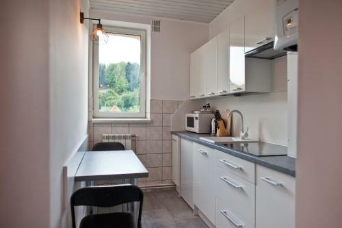 Apartament City Center Grand Loft