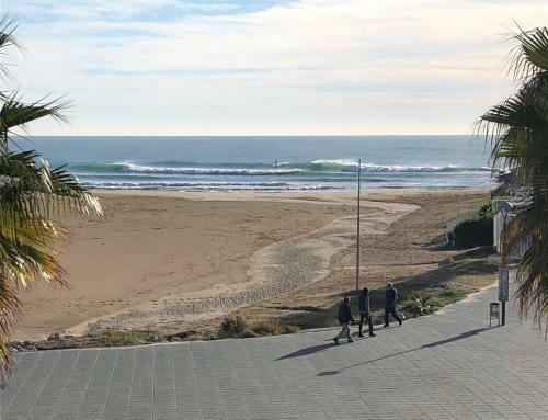 Entre Pinos Pb Beach Apartment