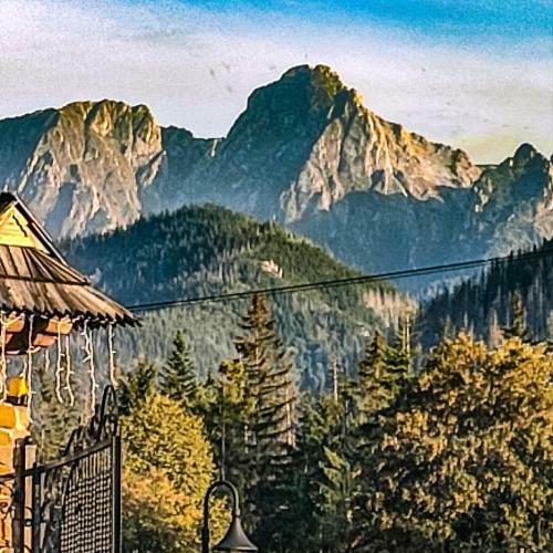 Bed & Breakfast Krokus Park Residence - Dla Doros?ych