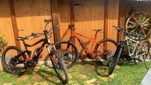 Tatraapart Rent E-bike