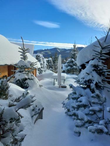 Tatraapart Rent E-bike