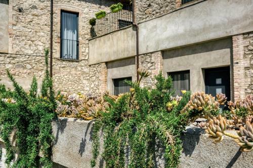Can Salva Charm On The Costa Brava