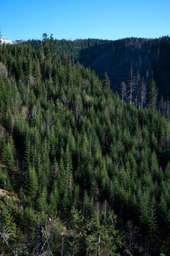 Apartament Zak?tek Mi?tusi