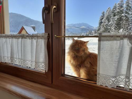 Widok�wka Tatry Pokoje I Apartamenty