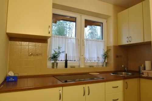 Apartamenty Sobiczkowa Wyspa