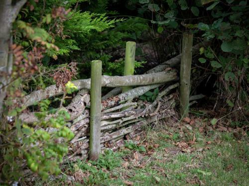 Detached Bungalow With Its Own Garden