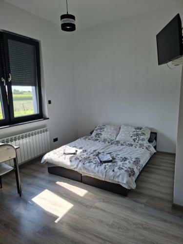 Hostal Noclegi 24/h Leszczynek