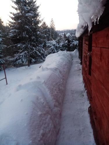 Hostal Sparta?ski Domek G�rski Laliki Z Saun?