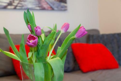 Apartament Blanki