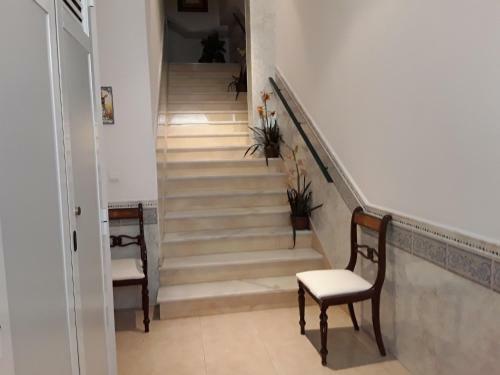 Apartamentos Vicenta Carihuela