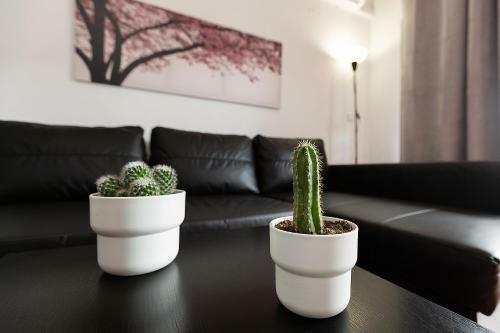 Apartamento Monk� Cactus