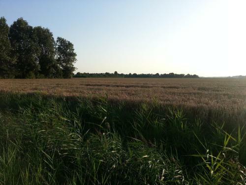 Vakantiewoningen De Schelp