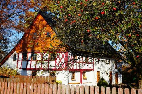 Bed & Breakfast Gajowe Zacisze
