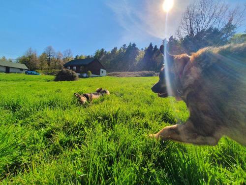 ?wi?tokrzyska Chata Biegacza