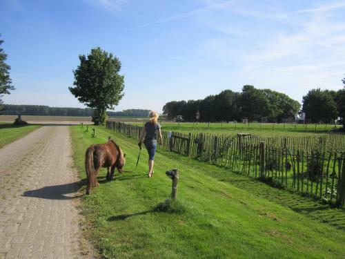 Bed & Breakfast De Sternhof