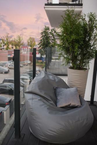 Apartament Gray