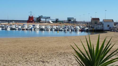 Apartamento Homely Appartment Playa Acequion
