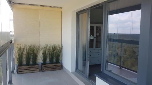 Apartamento Aquamarina Onyx 147