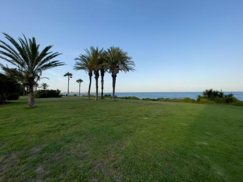Apartamento Torrevieja Experience Mar Azul