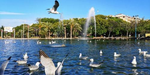 Apartamento Torrevieja Experience Mar Azul