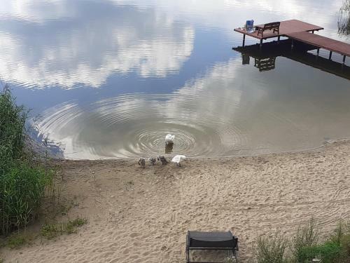 Apartamento Mazurskie Klimaty Tatarak