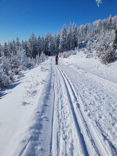 Hostal Apartamenty Sowiog�rskie