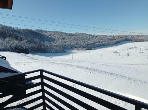 Apartamenty Bieszczadzki Horyzont